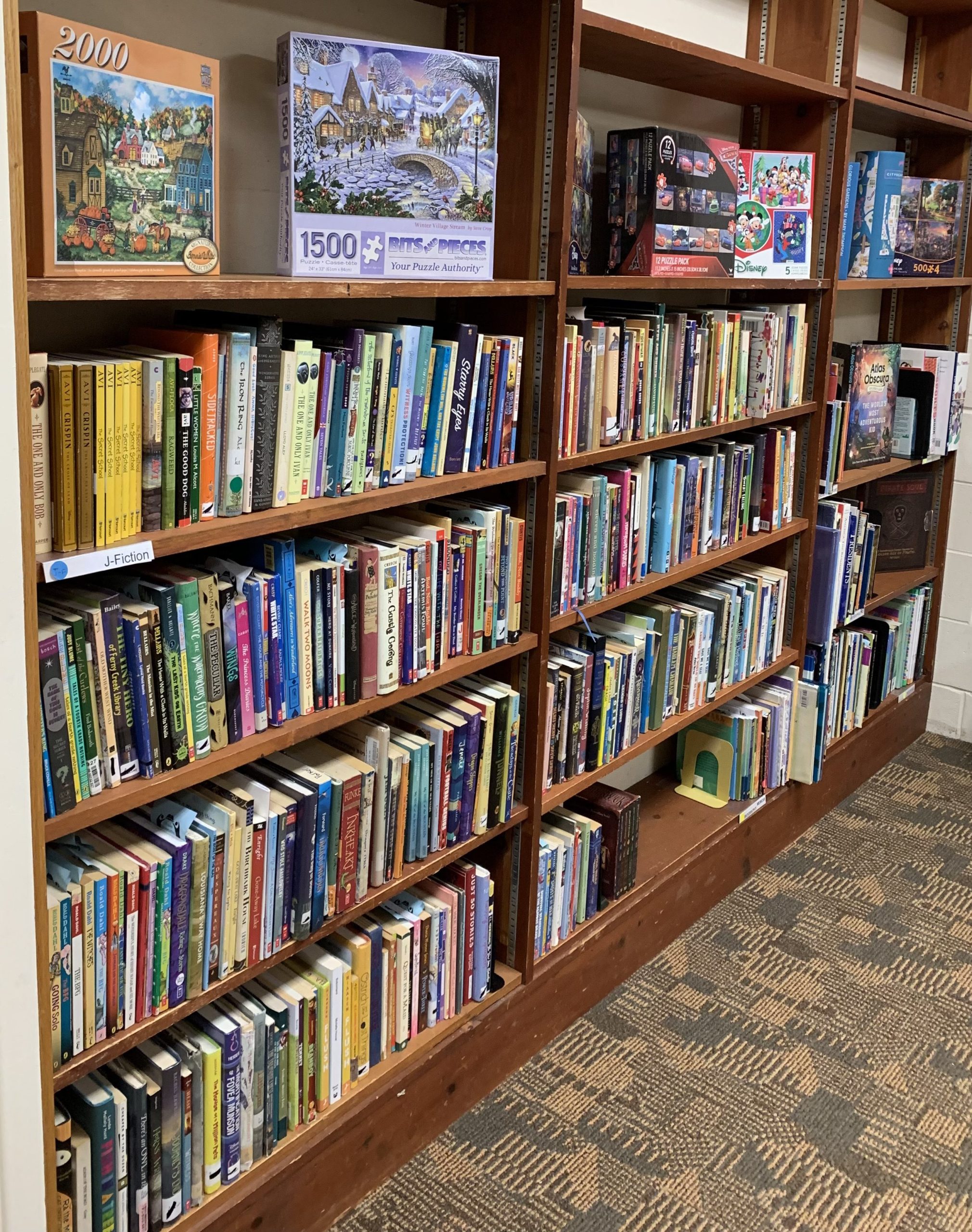 The upcoming spring book sale acts as a fundraiser for Ulysses Philomathic Library. Volunteers have been busy preparing for the five-day book sale. Photo provided by Ulysses Public Library.