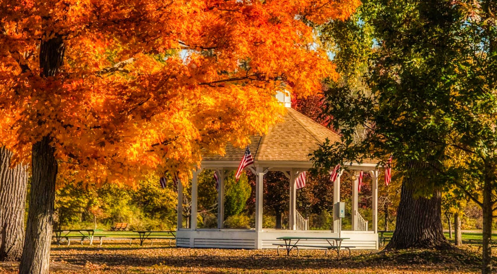 Myers Park in the fall