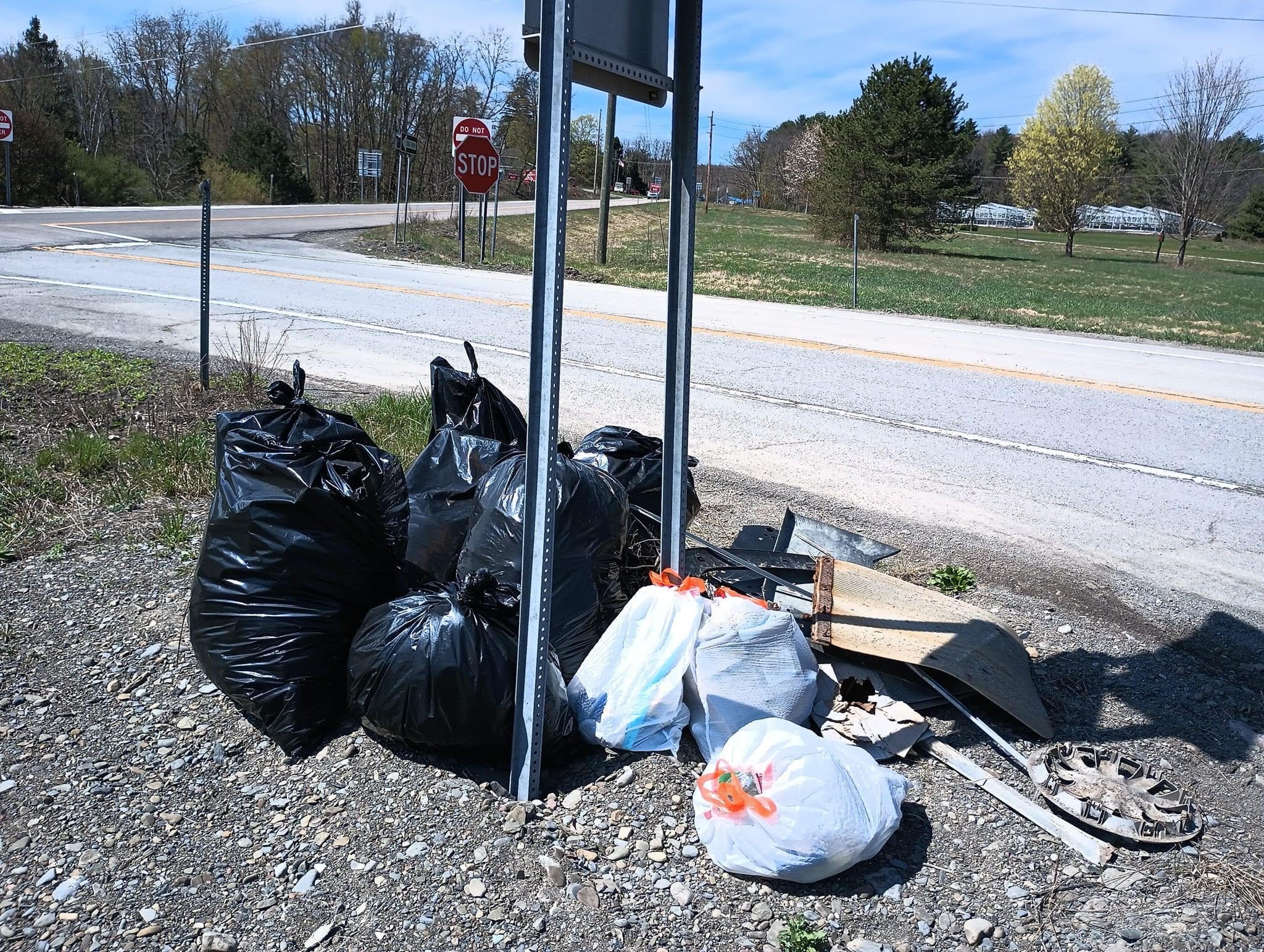 Garbage collected from the grassy divide between northbound and southbound lanes of New York State Route 13 in Newfield as part of the town's Green Up Day which took place on April 15.