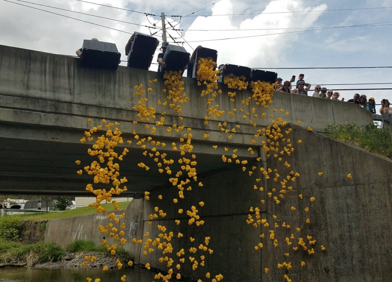 Seeing the children delight at rubber ducks being tossed into the creek is one of the best aspects of the event, say organizers. This year's proceeds from the duck event will help fund the Trumansburg Food Pantry. 