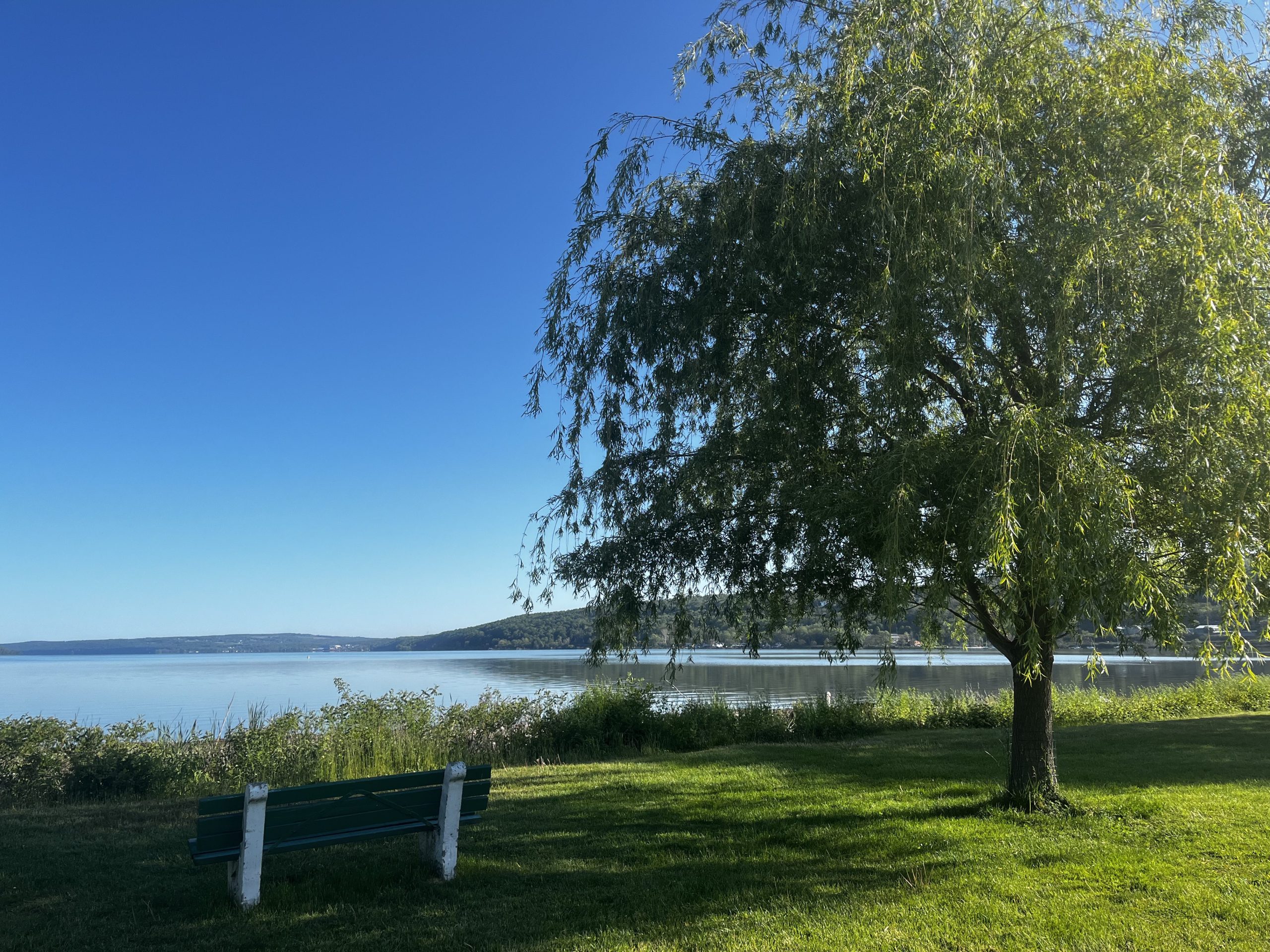 Stewart Park's shoreline