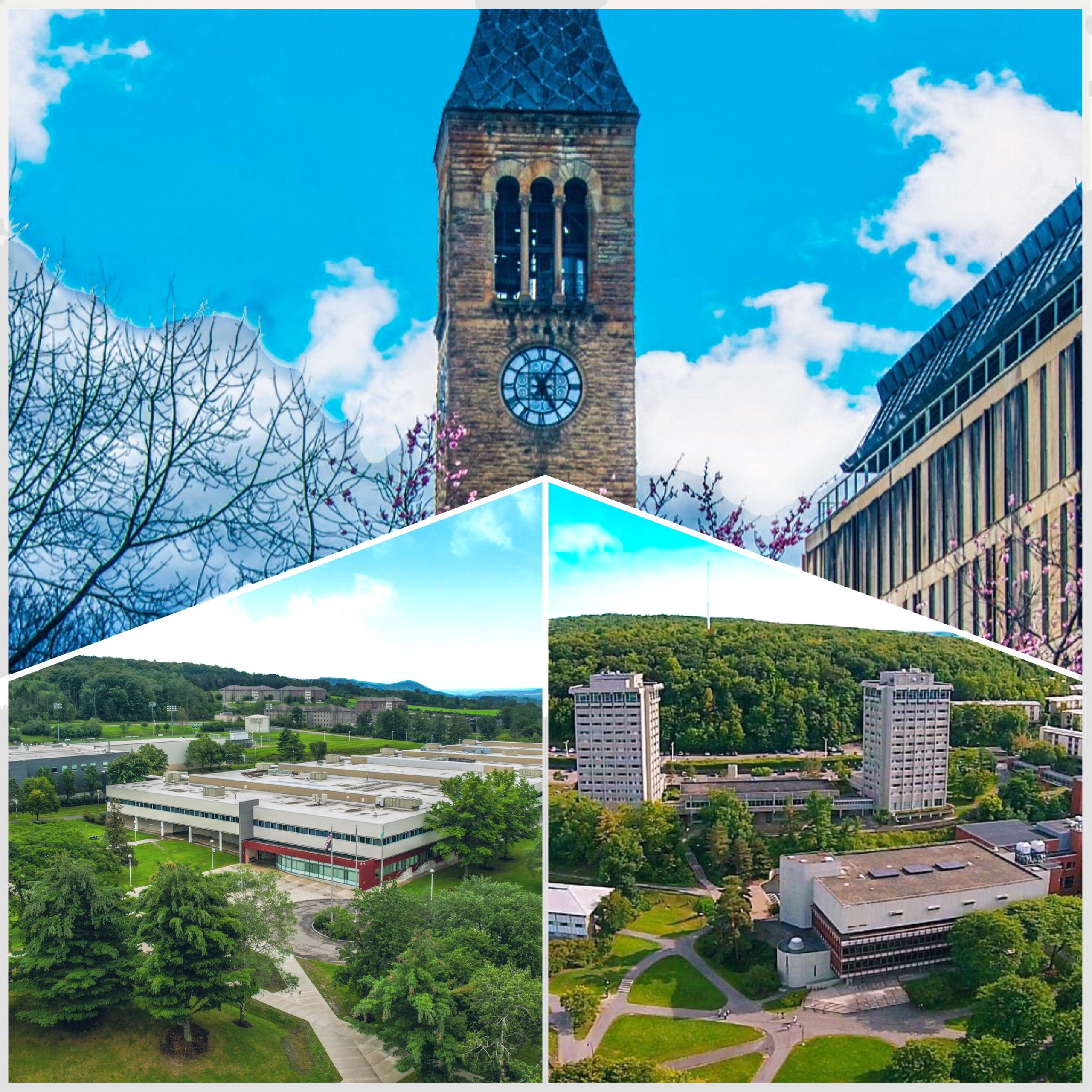 Cornell, Ithaca College, TC3
