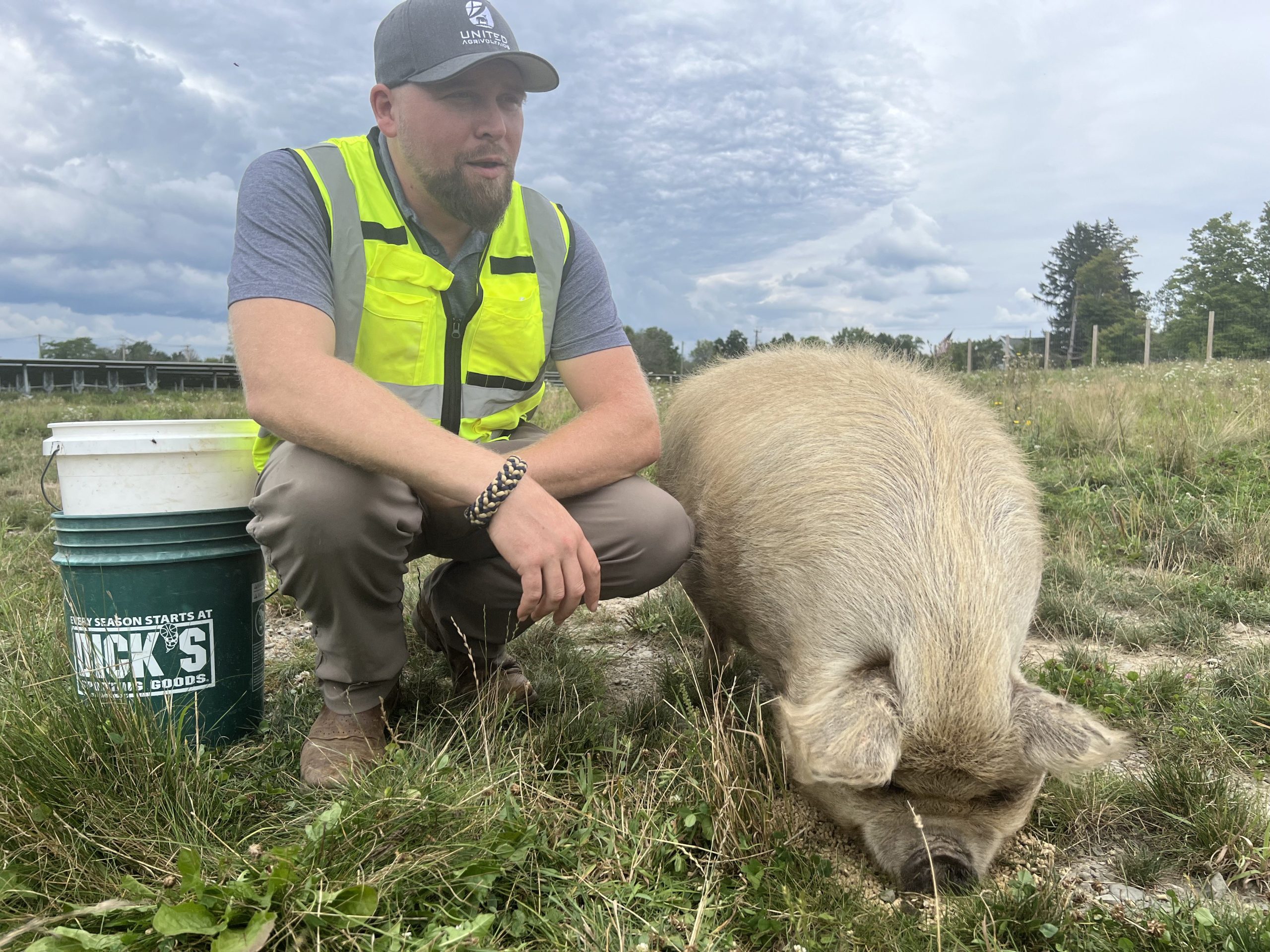 Caleb Scott, of United Agrovoltaics, was on-site at Lansing Renewables on Jerry Smith Road to feed the sheep and pigs, as they grazed near the solar panels at the energy generation facility. 