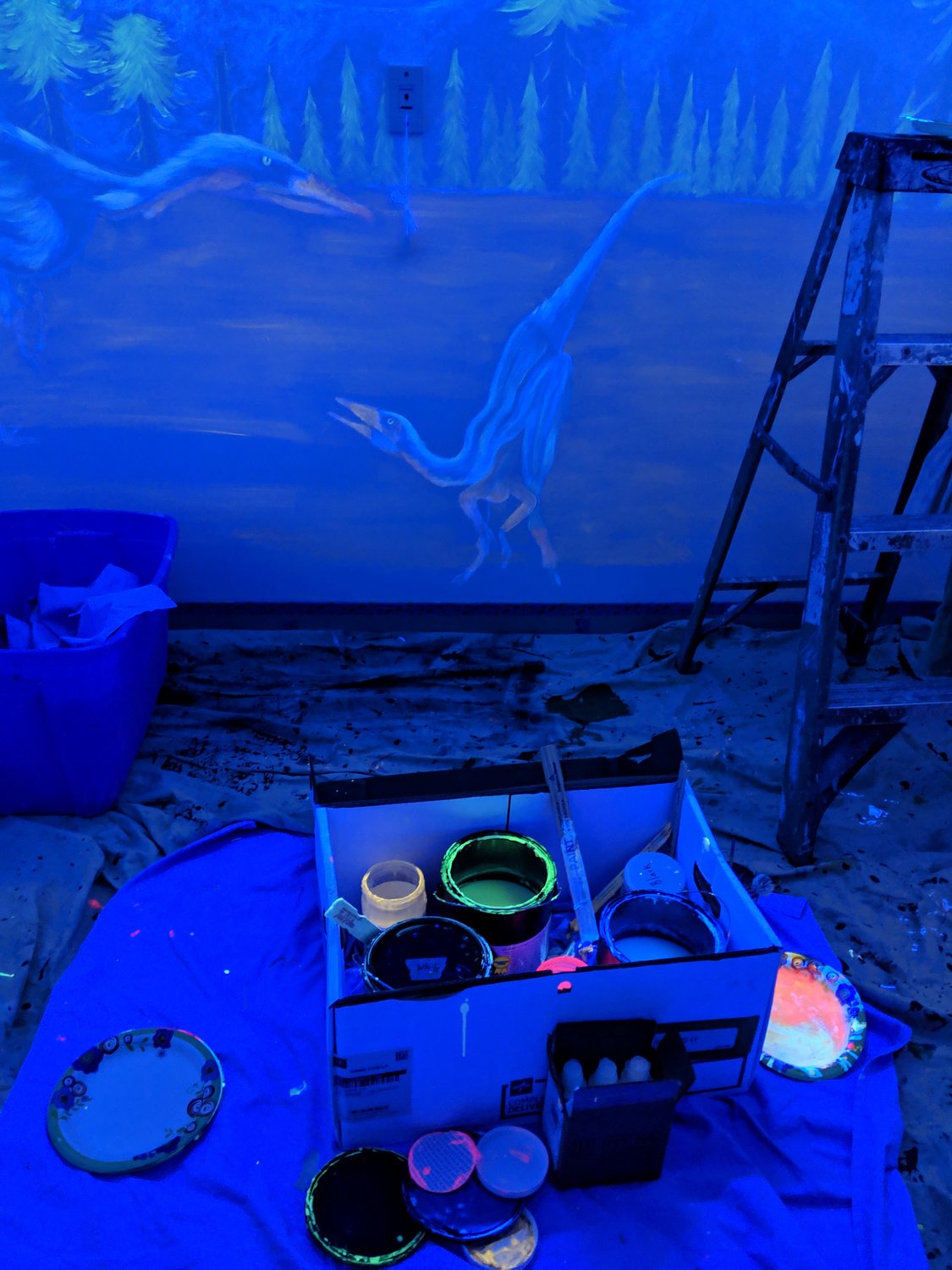 When the blacklight comes on, the dinosaurs are revealed in this new mural. Artist Mary Beth Ihnken has done two other blacklight murals for CMC before.