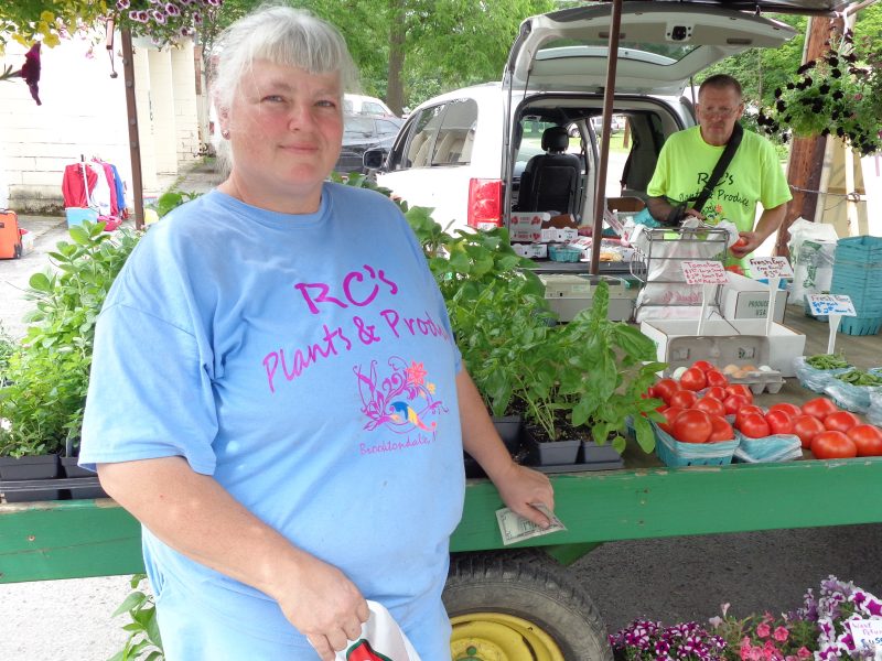 Brooktondale Apple Festival