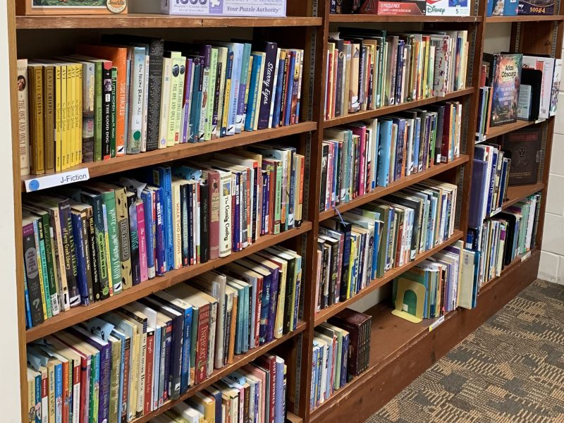 The upcoming spring book sale acts as a fundraiser for Ulysses Philomathic Library. Volunteers have been busy preparing for the five-day book sale. Photo provided by Ulysses Public Library.