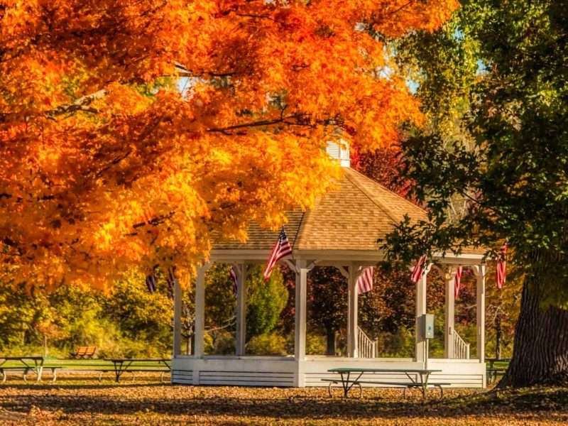 Myers Park in the fall