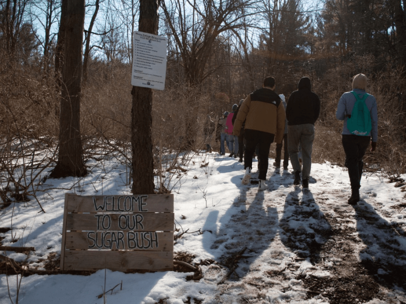 students and locals walking a semi-snowy trail to the South Hill Sugar Bush