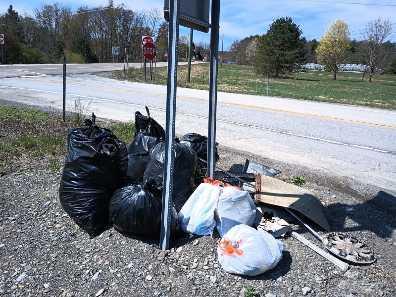 Garbage collected from the grassy divide between northbound and southbound lanes of New York State Route 13 in Newfield as part of the town's Green Up Day which took place on April 15.