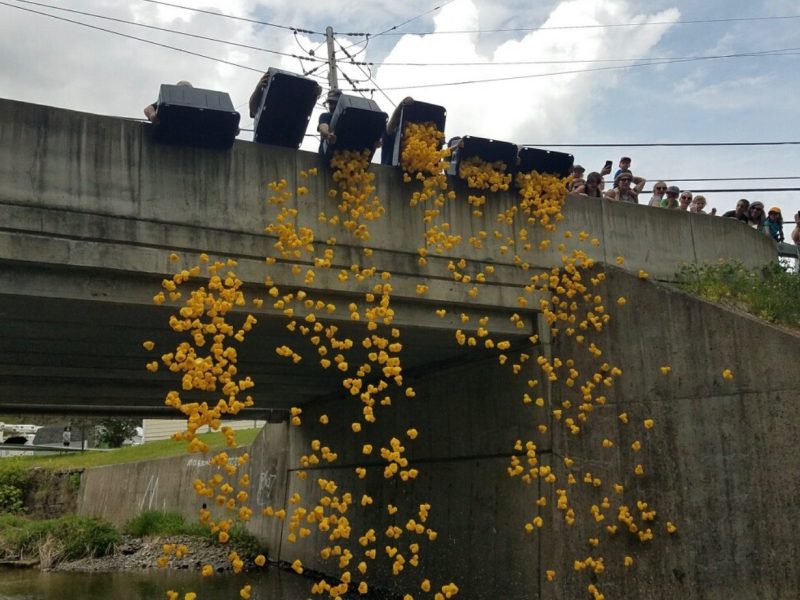 Seeing the children delight at rubber ducks being tossed into the creek is one of the best aspects of the event, say organizers. This year's proceeds from the duck event will help fund the Trumansburg Food Pantry.