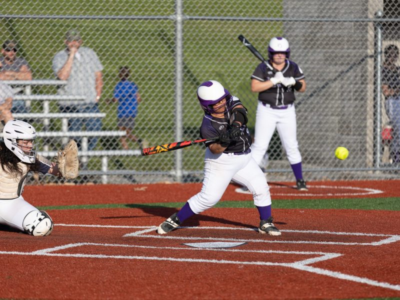 Dryden softball's Olivia Surine swings at a pitch during the IAC Large School Championship on May 11. The junior has been a reliable force behind the plate, helping the Lions with their first IAC divisional title since 1988.