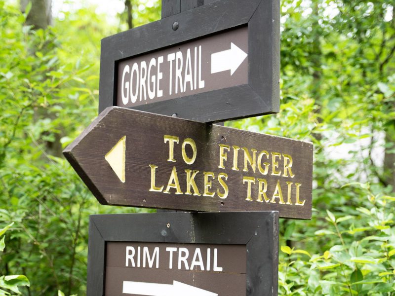 Hiking trails and state parks are an important part of the local tourism industry, especially since it is an attraction for locals, New Yorkers, and out-of-state visitors as well. With the trails, there is something for everyone from intense hikes to leisurely walks.