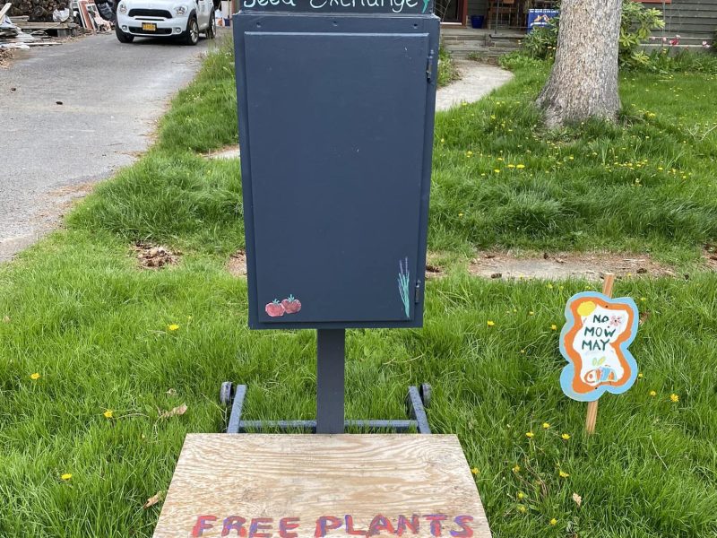 The Washington Street Seed Exchange is back for the season, where community members can leave and take seeds and plant cuttings.