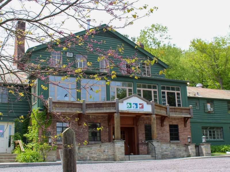 Now open for the season: the Lodge at the Cayuga Nature Center is just one part of the Paleontological Research Institution.