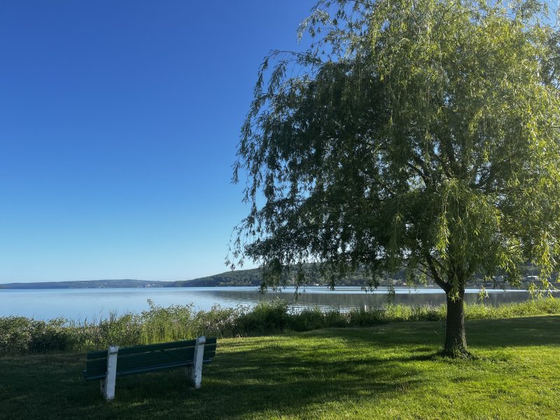 Stewart Park's shoreline