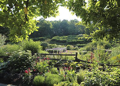 Cornell Botanical Gardens