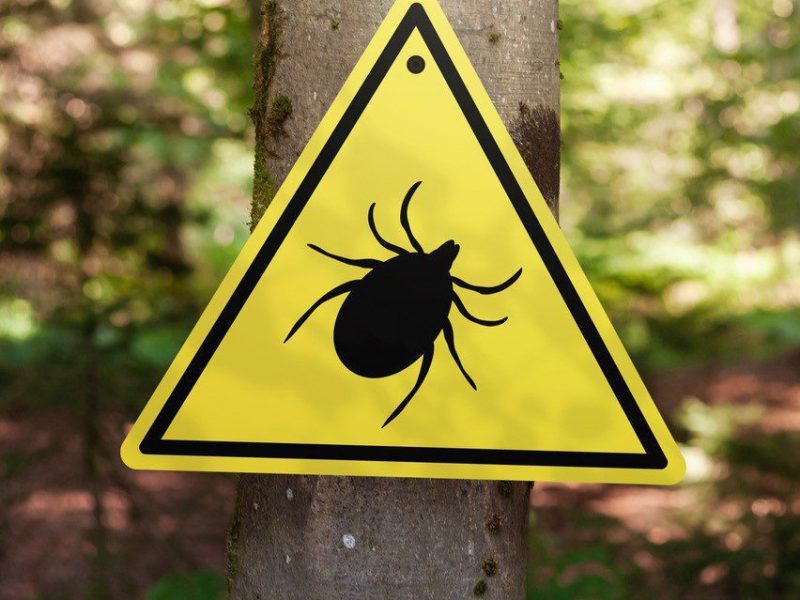 tick warning sign