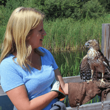 Elaine during a bird program. The bird above is Minerva (mini), a Cooper’s Hawk who resides at Tanglewood.