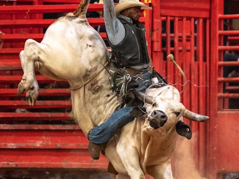 a man atop a bull during the rodeo performance