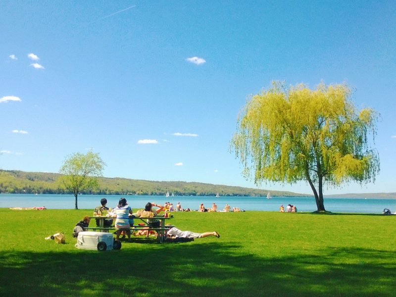 Stewart Park in the summer