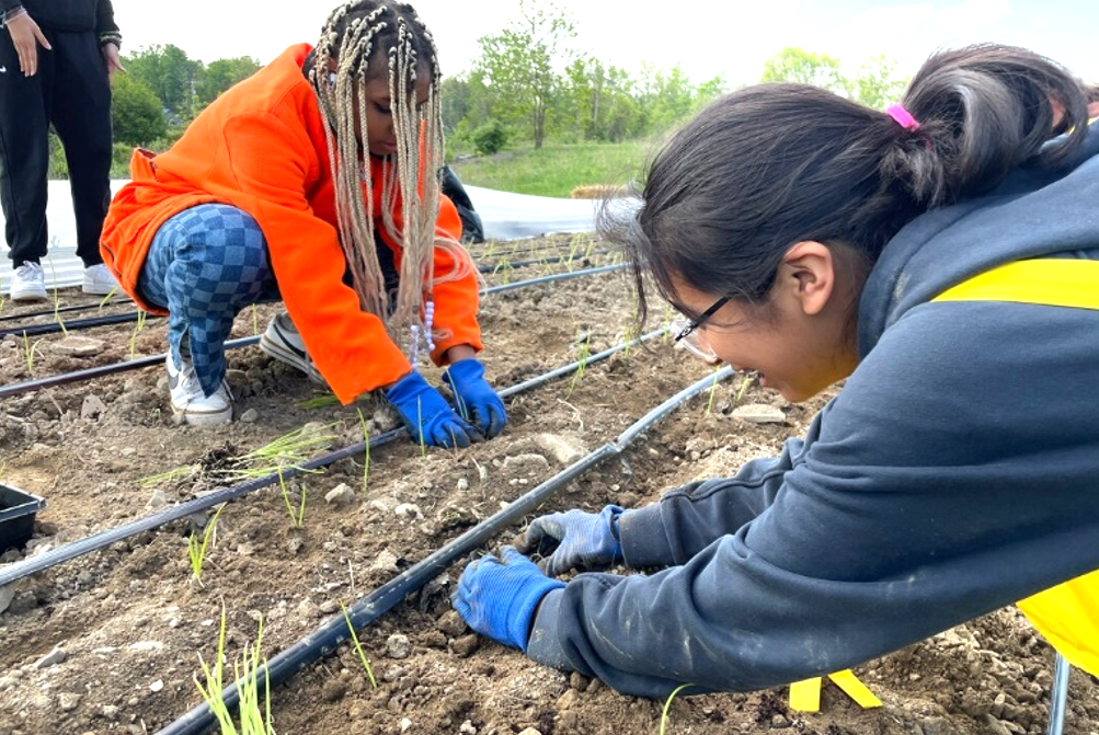 At the Youth Farm Project, which received $27,700 in grants from seven different funds in 2023, young people from diverse backgrounds participate in food production and farming—from planting to harvesting and distributing. 
Photo provided