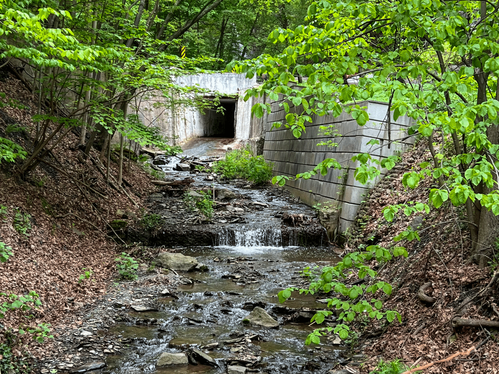 The town of Ulysses plans to replace this Maplewood Road culvert, with the town board approving the project at its May 13 meeting. 
