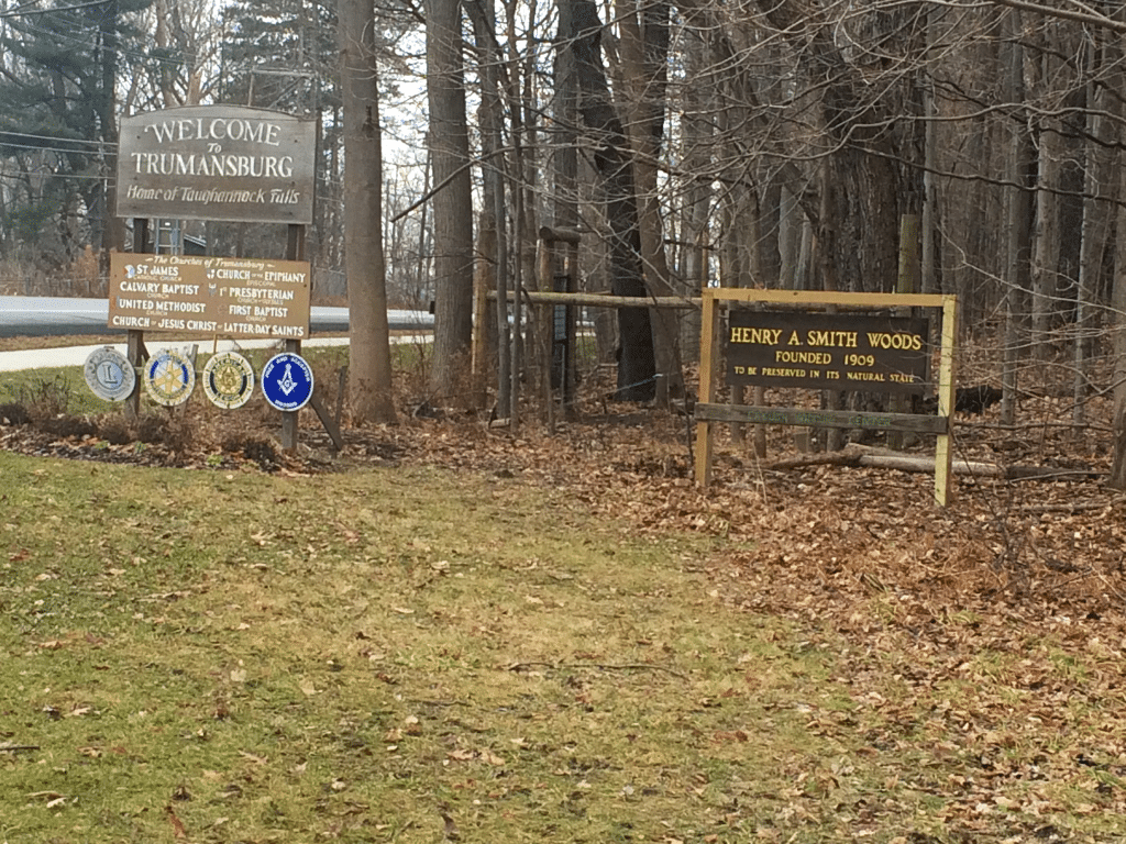 Photo provided
The Paleontological Research Institution is looking to the town of Ulysses to potentially steward Henry A. Smith Woods, a 32-acre old-growth forest in Trumansburg. 