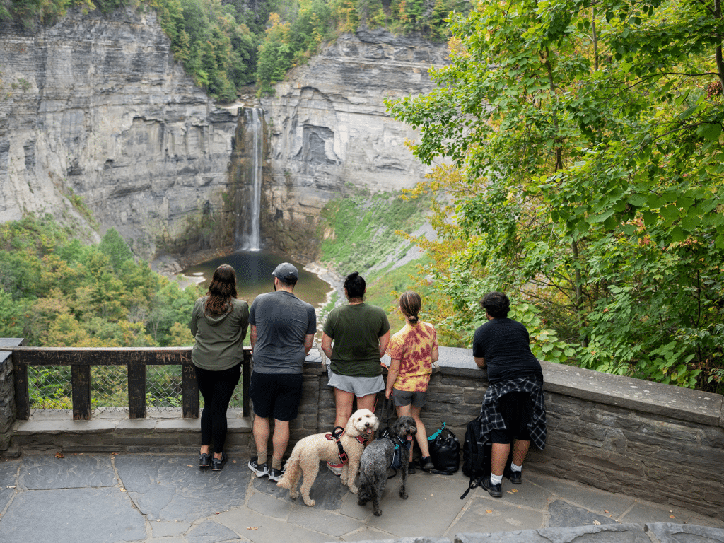 Photo by Ava Thomas 
A group of tourists and their dogs take in the view at Taughannock Falls State Park in Ulysses. 