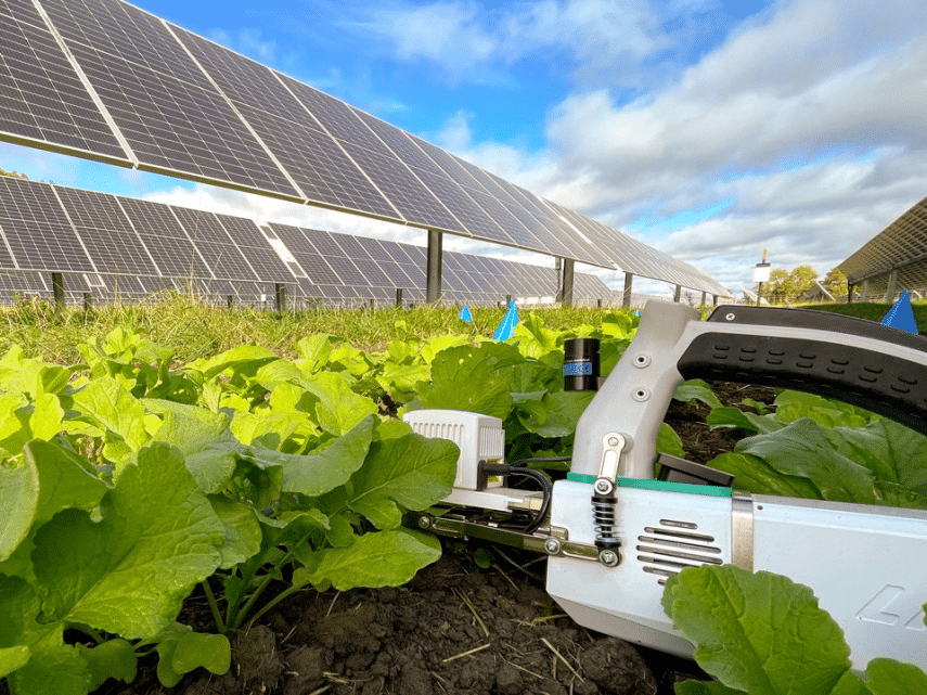 East Hill News: Cornell research tests solar panel crop growth in New York