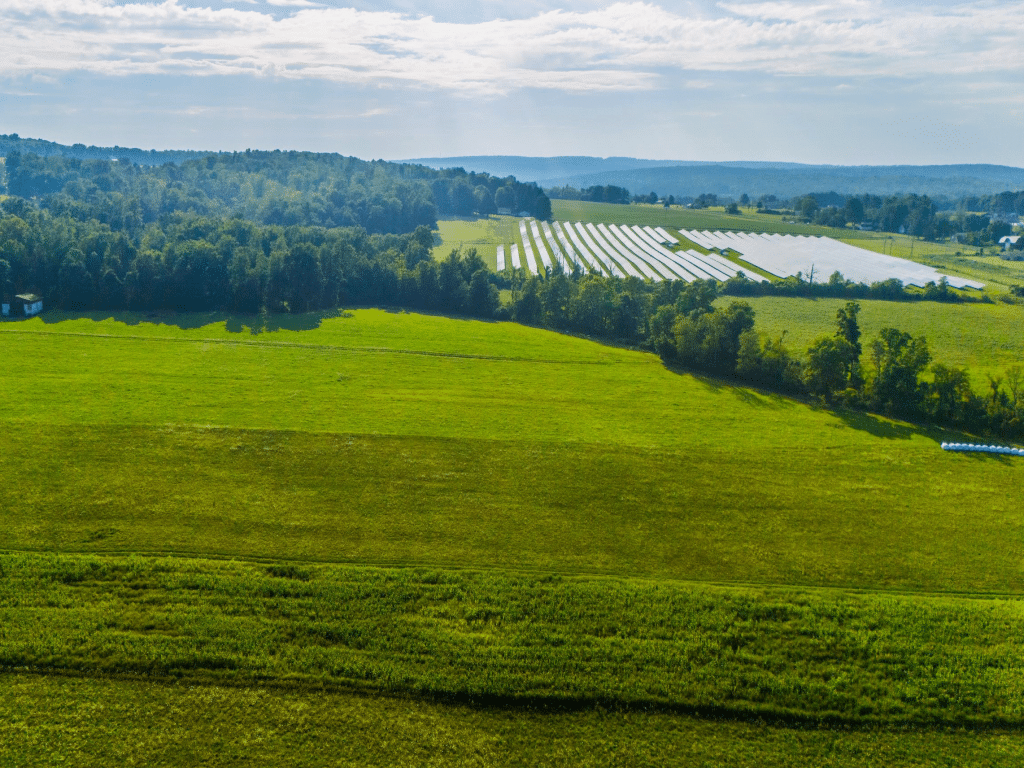 Photo by Joe Scaglione
A Newfield TJA Clean Energy project is going through its final round of approvals. The solar project would take place at this site on Elmira Road, which is off Millard Road. 
