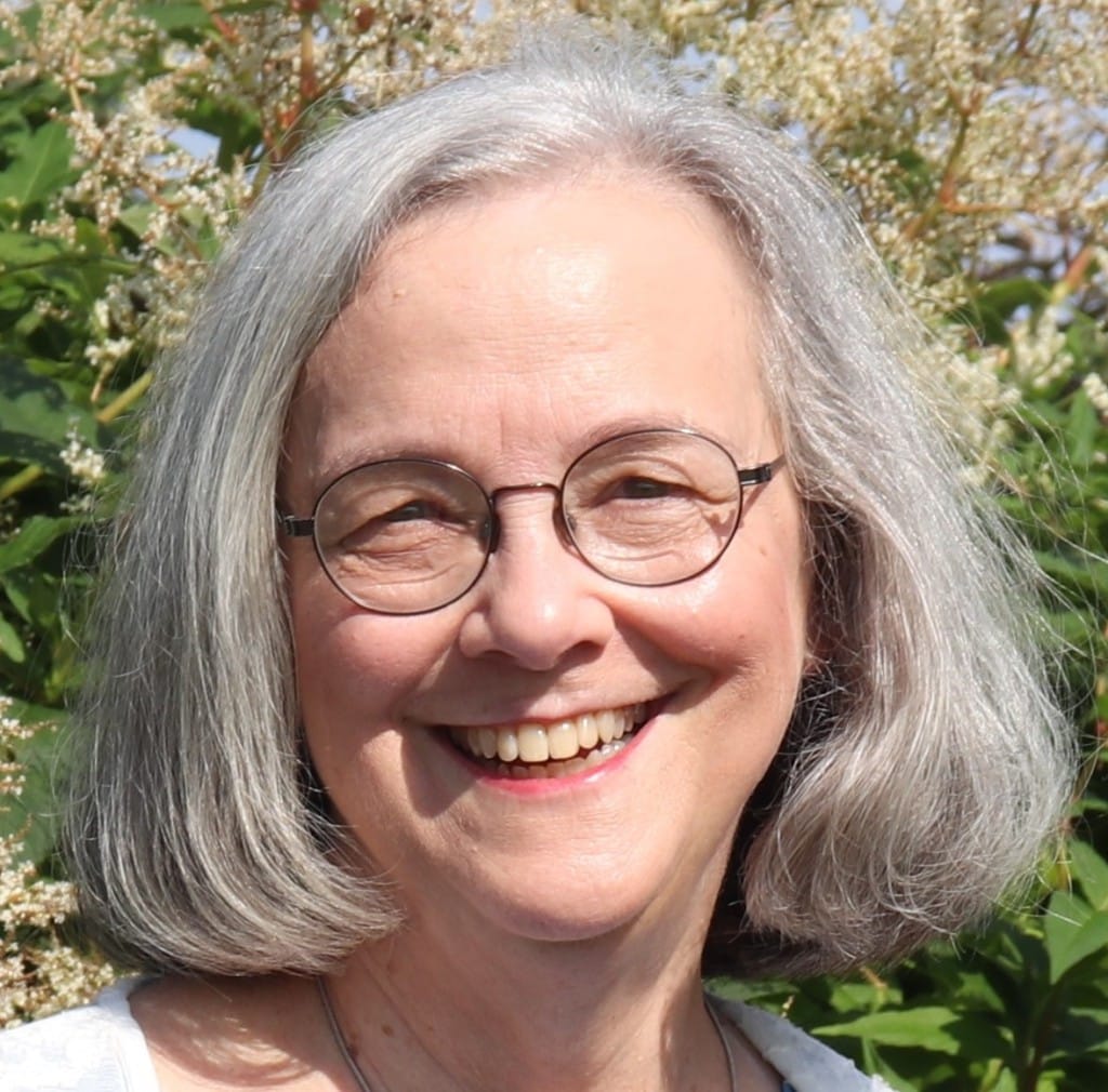 Provided
Lansing Town Supervisor Ruth Groff, pictured here, recently defended the town’s board process, saying that while individual members do sometimes comment on a listserv, they do not deliberate on agenda items and are careful not to create a quorum within the online platform. TeraWulf company officials have accused town board members of not being transparent and fair about a construction moratorium in correspondence submitted to the public record, on social media and at community meetings.